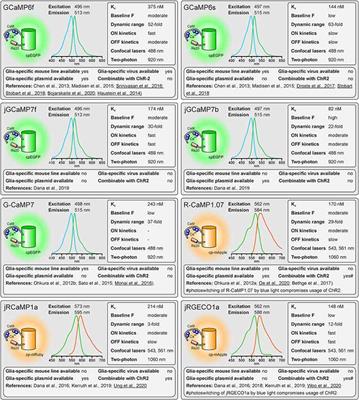 Using genetically encoded calcium indicators to study astrocyte physiology: A field guide